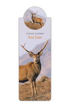 Разделител за книга с диви животни - Елен