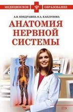 Анатомия нервной системы
