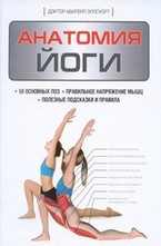 Анатомия йоги
