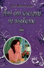 Анн от къщата на върбите