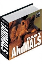 Baby animals