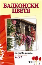 Балконски цветя, част 2