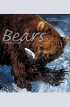 Bears: The Solitary Rulers