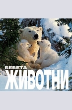 Бебета животни