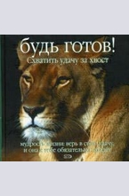 Будь готов! Схватить удачу за хвост