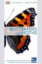 Butterflies and Moths