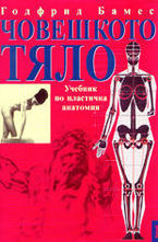 Човешкото тяло - Учебник по пластична анатомия