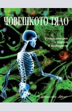 Човешкото тяло