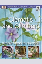 Clematis and Climbers