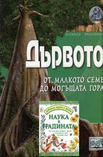 Дървото + Наука в градината. Коледна промоция