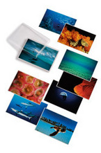 David Doubilet: Water Light Time Postcards