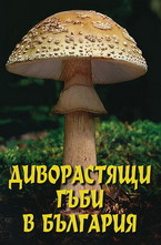 Диворастящи гъби в България