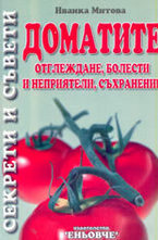 Доматите: отглеждане, болести и неприятели, съхранение