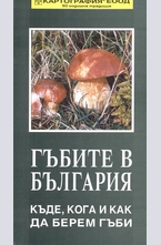 Гъбите в България - къде, кога и как да берем гъби