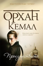 Господарката на чифлика, книга 1: Произшествието