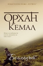 Господарката на чифлика, книга 3: Беглецът