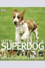 How to Train A Superdog