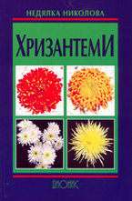 Хризантеми