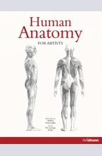 Human Anatomy For Artists
