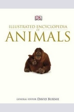 Illustrated Encyclopedia of Animals