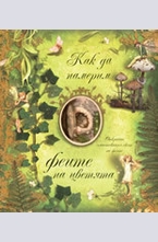 Как да намерим феите на цветята