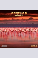 Календар African Wildlife 2014