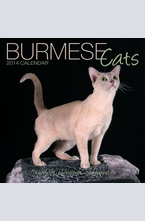 Календар Burmese Cats 2014