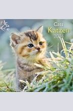 Календар Cats 2014