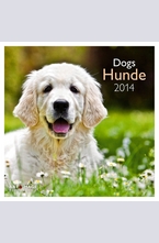Календар Dogs 2014