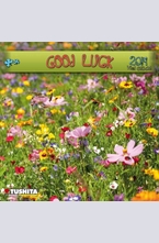 Календар Good Luck 2014