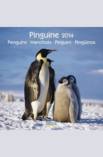 Календар Pinguine 2014