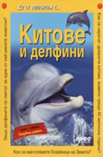 Китове и делфини