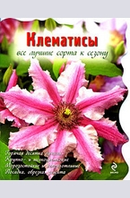 Клематисы