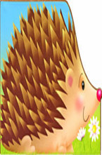 Колючий ежик