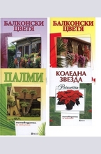 Комплект: Балконски цветя 1, 2 + Палми + Коледна звезда