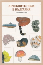 Лечебните гъби в България