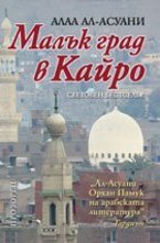 Малък град в Кайро