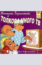 Мечетата Беранстийн и толкова много ТВ