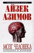 Мозг человека. Строение и функции