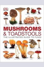 Mushrooms & Toadstools