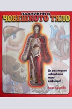 Надникни в човешкото тяло