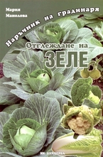 Отглеждане на зеле