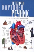 Петезичен картинен речник