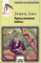 Препълненият ковчег