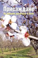 Присаждане на овощни дръвчета и лози
