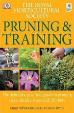 Pruning and Training