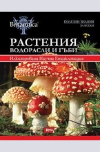 Растения. водорасли и гъби
