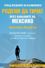 Родени да тичат през каньоните на Мексико