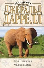 Рози - моя родня. Филе из палтуса