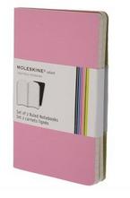Set of 2 Volant Notebooks Ruled - Pink - Pocket